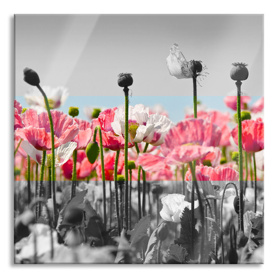 Glasbild Blumenwiese Mohnblumen