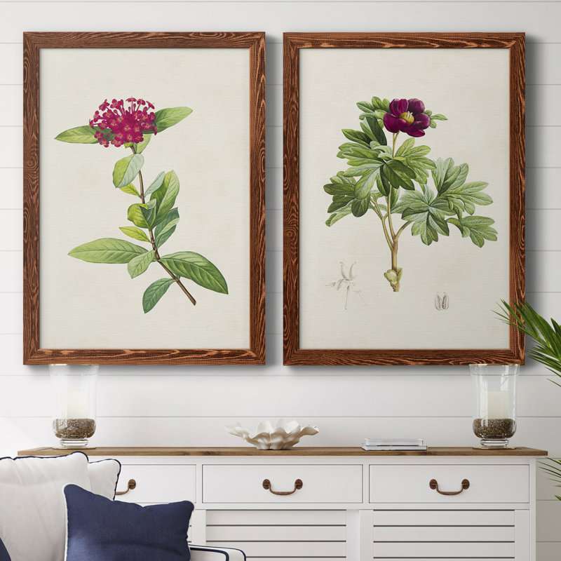 «Pretty Pink Botanicals II», toile encadrée de qualité supérieure - prête à être accrochée, H 43,5 po x l 31,5 po x P 1 po