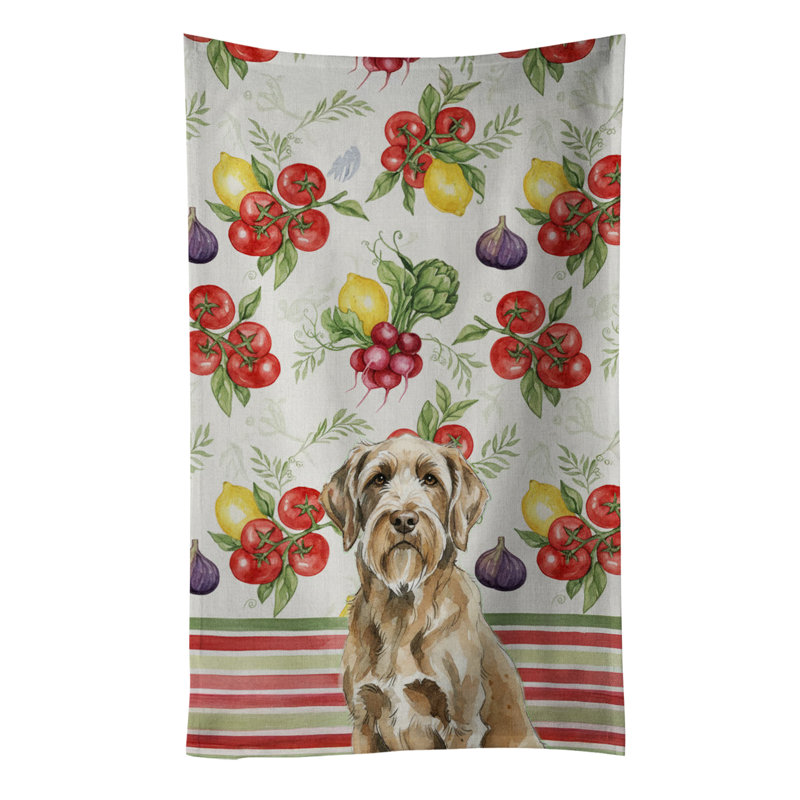 Torchon Spinone Italiano, Spinone Italiano