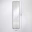 Avigdor Metal Flat Wall Mirror