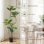Fausse plante-1782331778