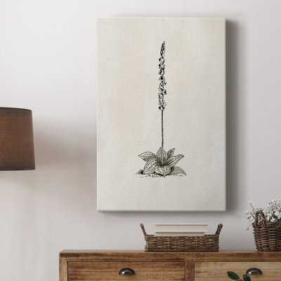 Motif floral rétro vintage CCXX - galerie Cavas