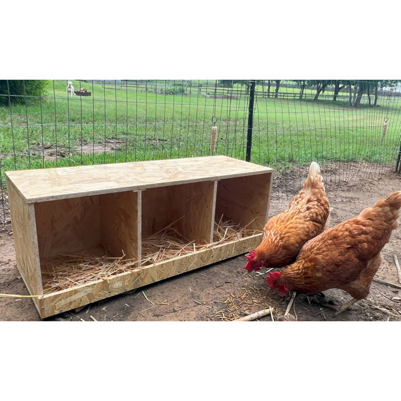 Natural Wood Triple Nesting Box for Hens