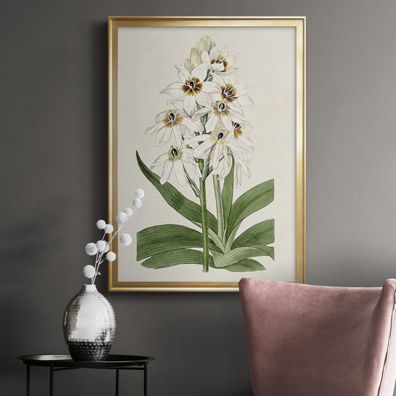 Flore Albo I - Peinture à cadre unique, Or, H 42,5 po x l 30,5 po x P 1 po