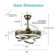 Gwenette 36'' Modern DIY Shade Ceiling Fan with LED Lights, 6-Speed DC Motor Ceiling Fan
