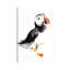 Puffin II by Soo Beng Lim - Wrapped Canvas Print-896344112