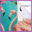 Rideaux de douche roses avec flamants roses et fleurs-388532340