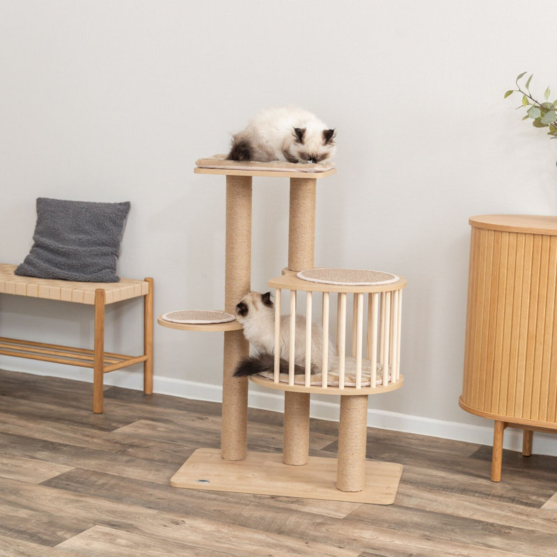  Aspen 37" Cat Tree, Modern Multi-Level Cat Tower with Condo & Five Sisal Scratching Posts