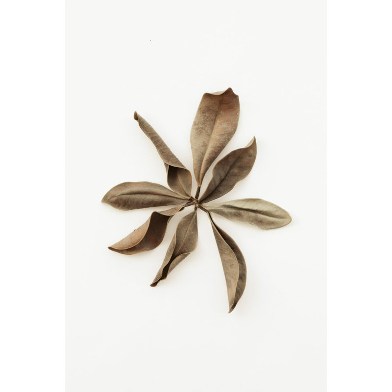 Wrapped Canvas Print, 76.2 cm H x 50.8 cm W