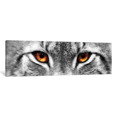 " Lynx Eyes " by PhotoINC Studio