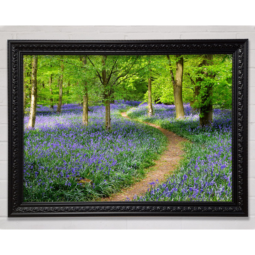 Spaziergang durch den Bluebell Path - Drucken