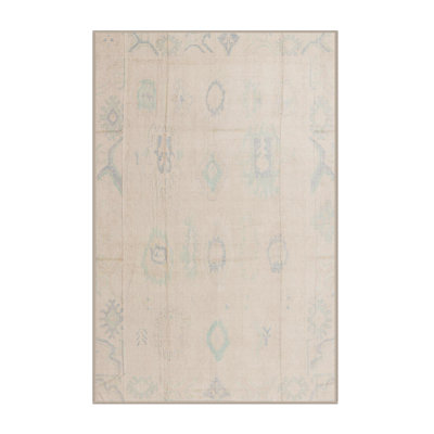 Southwestern Indoor Rug