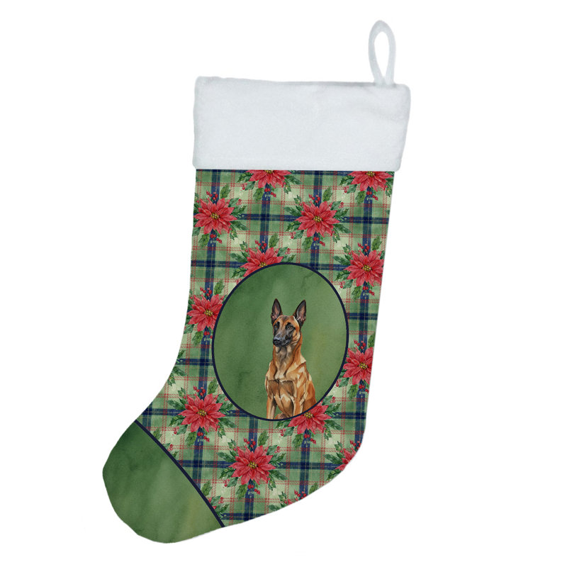 Chaussette de Noël acajou belge Malinois
