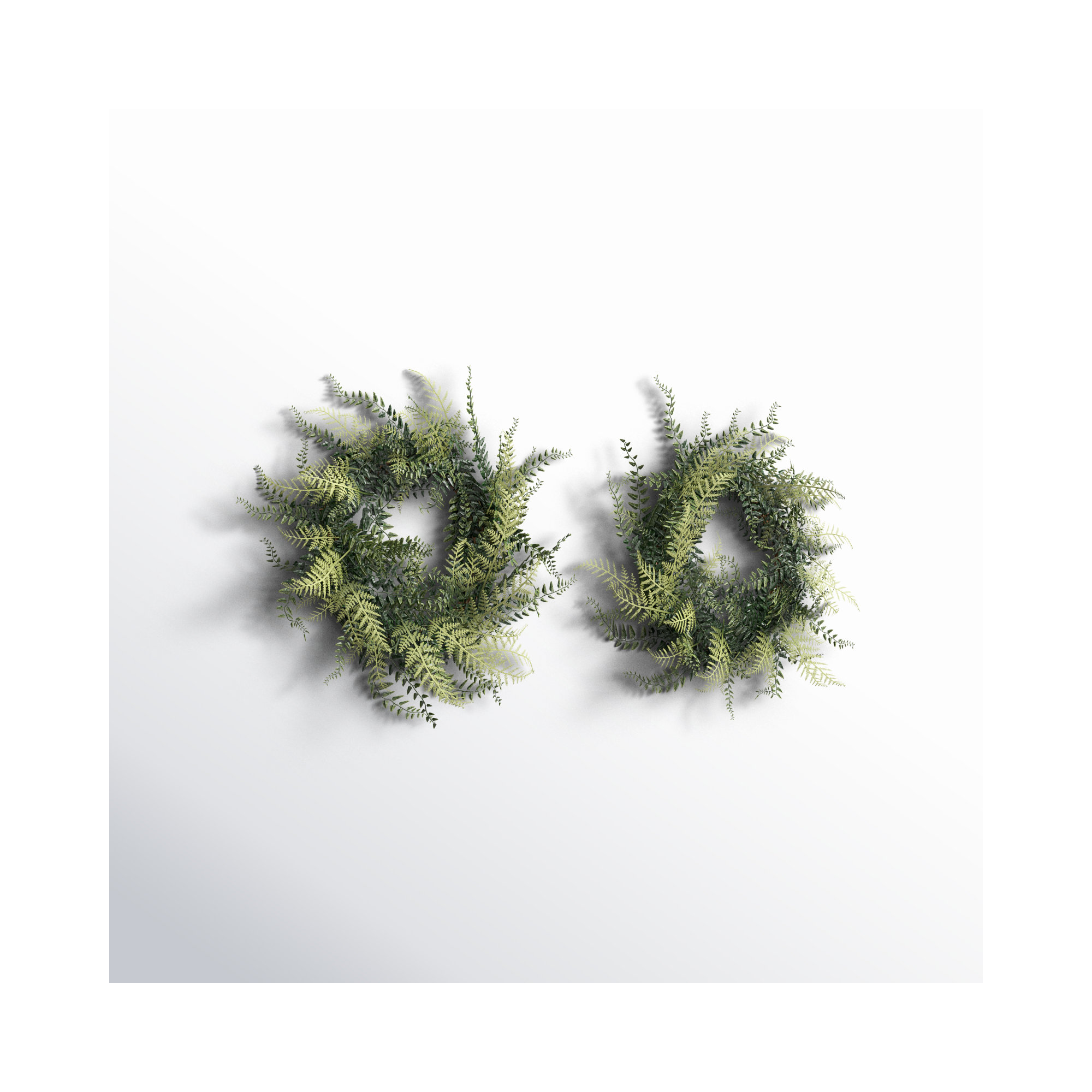 Artificial Buckler Fern and Grass Wreath, 18" H x 18" W x 4" D