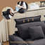46" W Cloud Oversized Chenille Armchair with Ottoman-1894873882