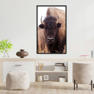 "American Bison IV" by Debra Van Swearingen Print on Canvas in a Black Floater Frame
