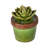 Landscape & Nature Figurines & Sculptures-338451218