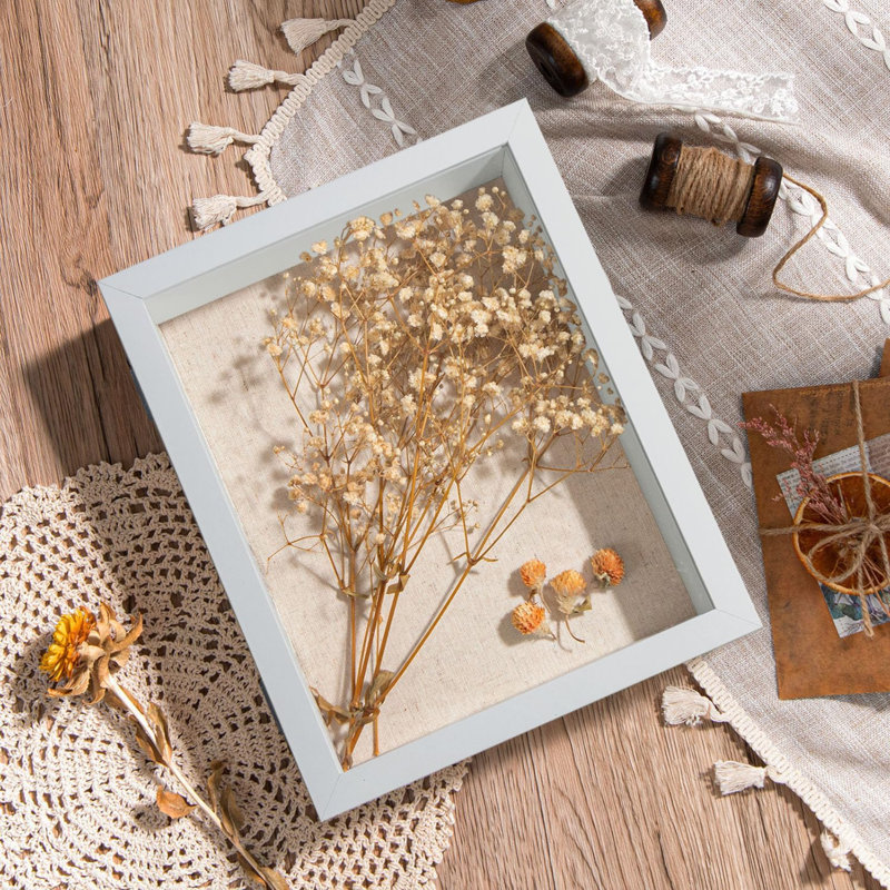Small Shadow Box Frame With Back - Sturdy Rustic Memory Display Case Of Flower, Pictures, Medals And More, White