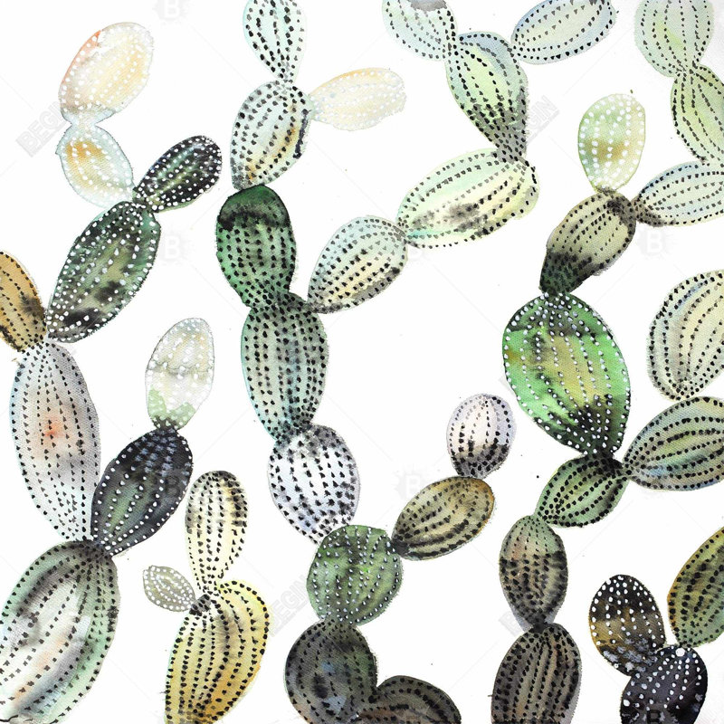 " Pattern Opuntia Cactus "