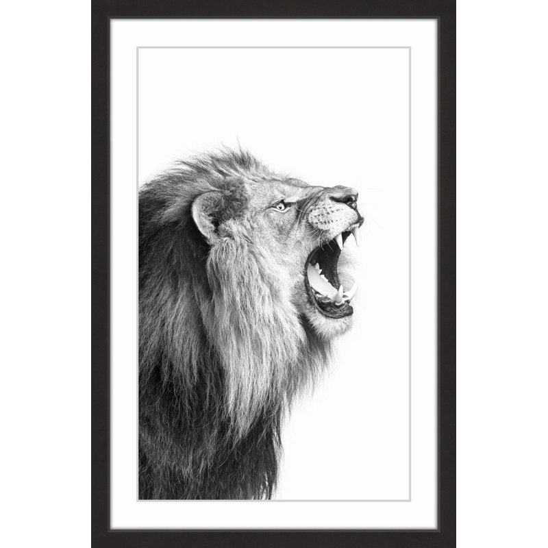 Single Picture Frame Print, 91cm H x 61cm W x 3.81cm D
