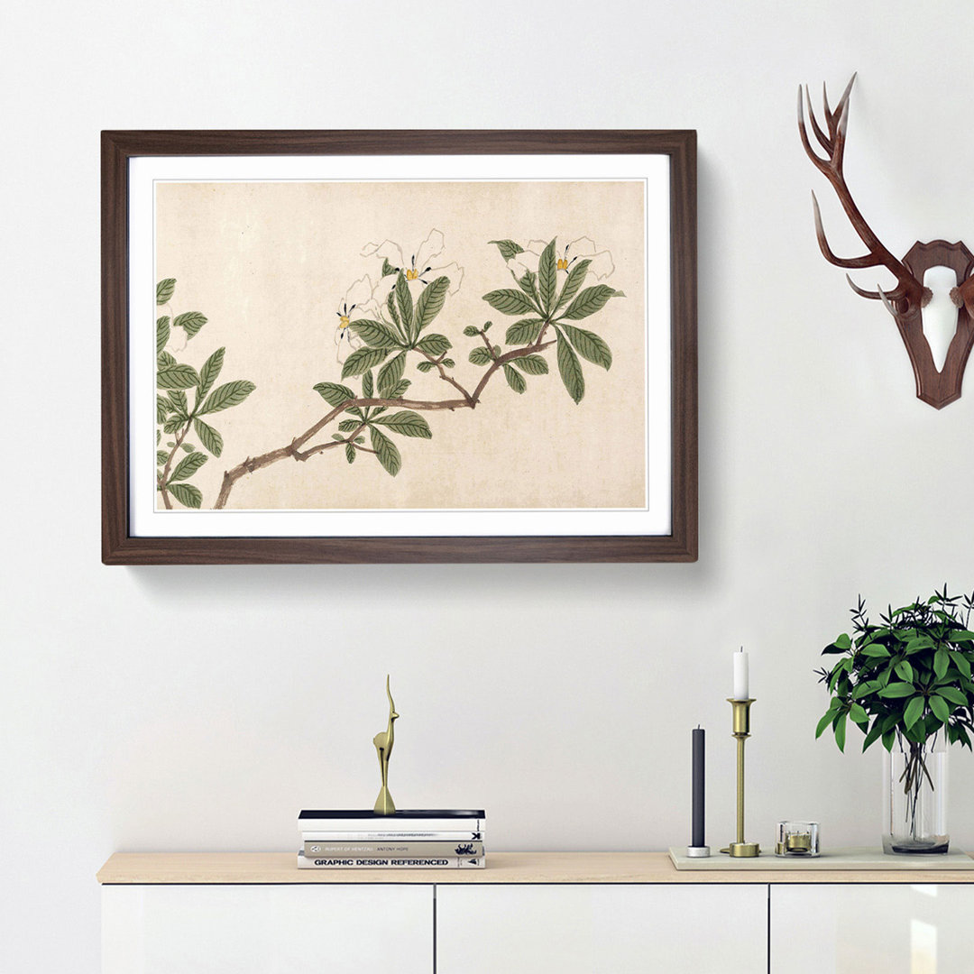 Flowers of the Four Seasons Vol.3 by Shen Zhou - Framed Print