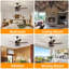 Ventilateur de plafond 52 po Kallaway