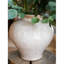 Sieghard Handmade Ceramic Jar