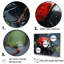 Curious Ladybug Crimson Serenity I - impression-593163459-593163458