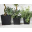 Haven Pot Planter-1479978056
