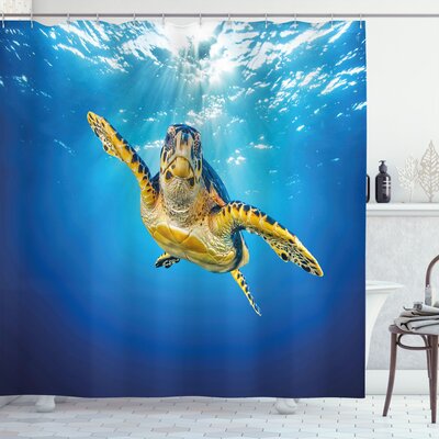 Turtle Shower Curtain Set + Hooks -  East Urban Home, 9B211C847B364767A577AFD9BAD42D06