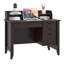 Vintage Computer Desk With 4 Drawers And Shelves-95849769