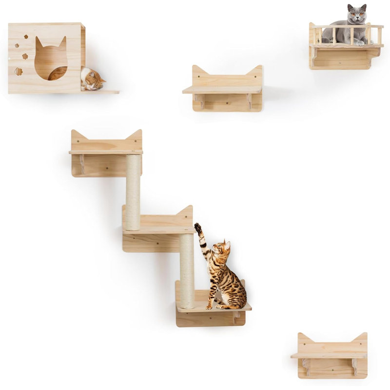 Ensemble de grimpeur 9 pièces Pine Cat