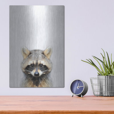 " Raccoon " by Tai Prints