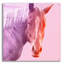 «Horse» par Mark Ashkenazi-580602508