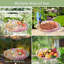 Mangeoire pour aquarium 12 pouces