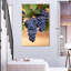 Raisins sur la vigne-117533146