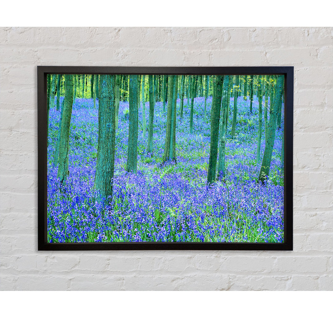 Bluebells In The Forest - Einzelner Bilderrahmen Kunstdrucke auf Leinwand