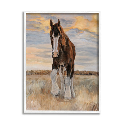 " Colt Horse Farmhouse Animal "