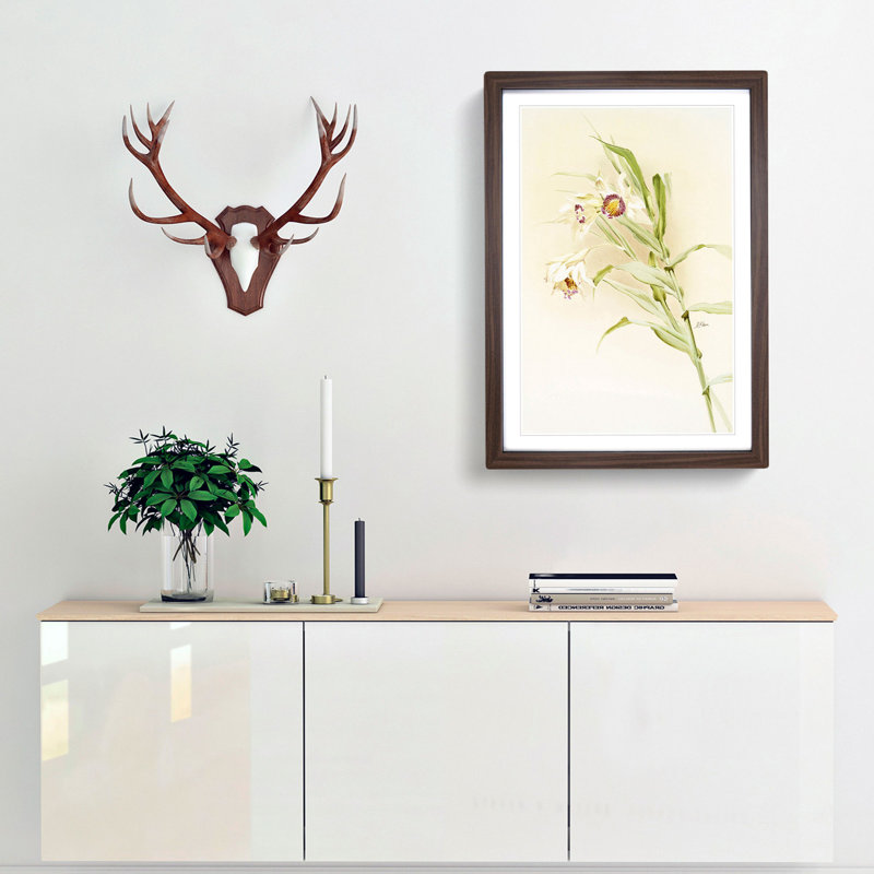 Magnolia Flowers Illustration Tab. 82 by Frederick Sander - Picture Frame Painting Print, 60cm H x 40cm W x 2cm D, Walnut