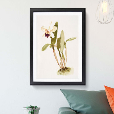 Magnolia Flowers Illustration Tab. 67 by Frederick Sander - Picture Frame Painting Print