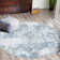Massie Floral Indoor Rug