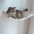 Wall Mounted Cat Hammock & 2 Steps