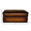 Urban Cowboy Leather Ottoman-46790160-72432471