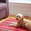 Multicoloured Recycled Rag Rug