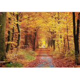 Peel & Stick Clear Border