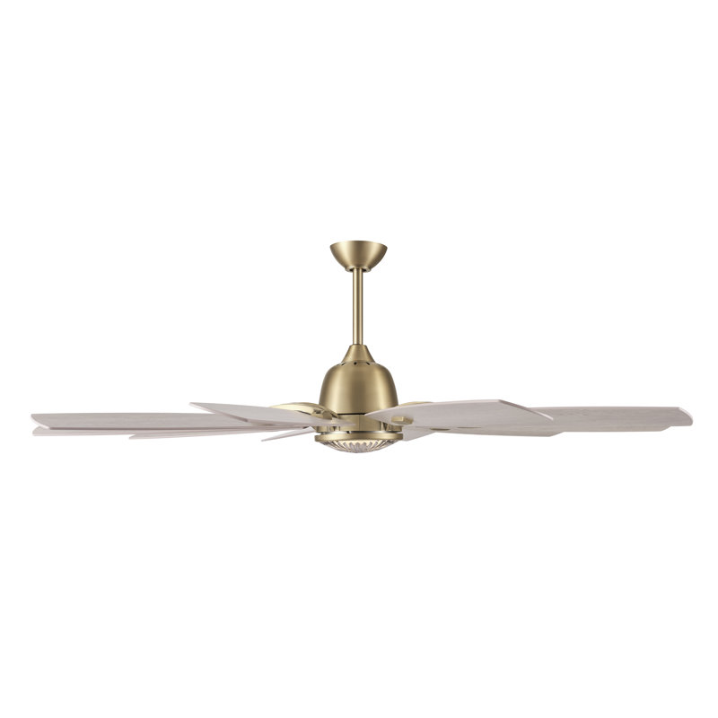 Ventilateur de plafond intelligent 65 "à DEL 5CCT Barn