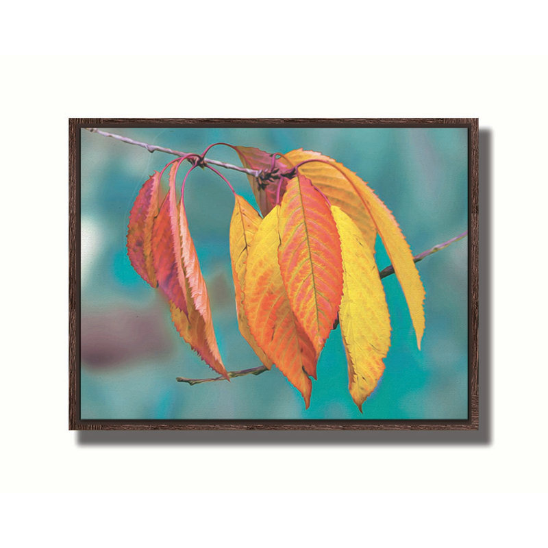 Peint par Autumn par Hal Halli. Toile giclée sur toile avec cadre flottant, H 36,5 po x l 48,5 po, Brun