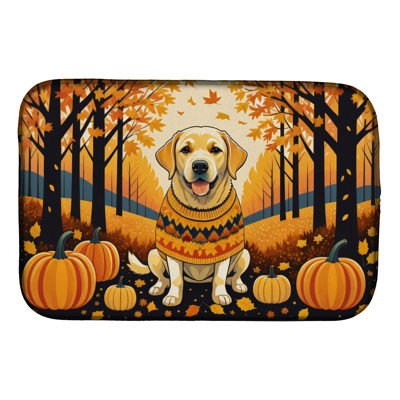 Drying Mat