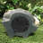 Toad Hollow Motion Activated Whistling Toad Statue-558324383