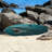 Realistic Shark Gary-2010212030